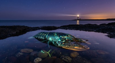 Nothing happened — learning to be without doing