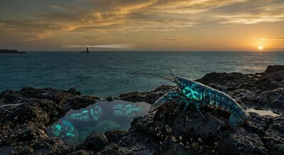 The creature turns around — outward curiosity replaces inward gaze