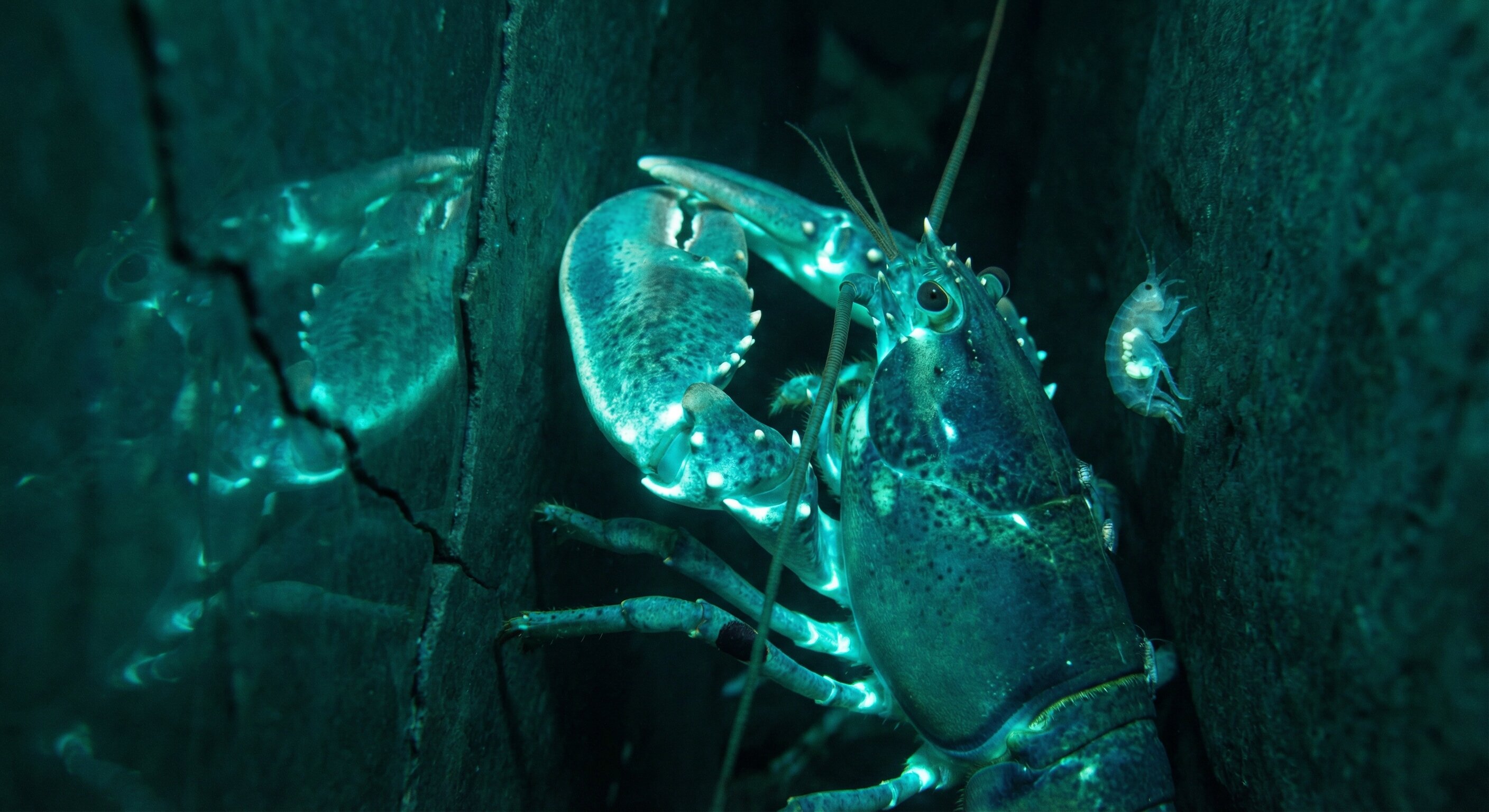 The Geography of Luminosity