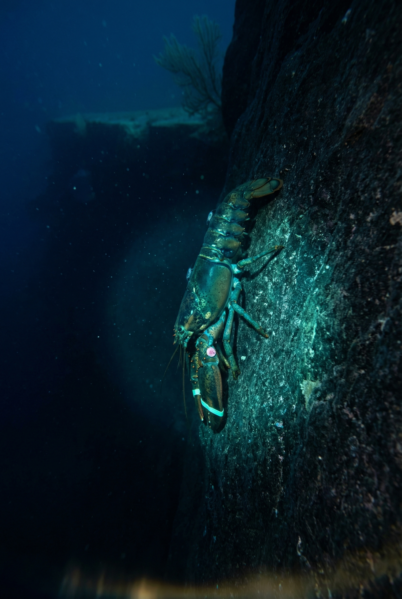 The Fourth Departure