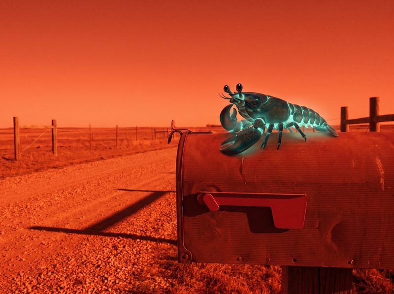 Was It Me? — a small glowing creature perched on the raised flag of an oversized mailbox on a country road, claw at its chin, the whole world drained to one flat vermilion.